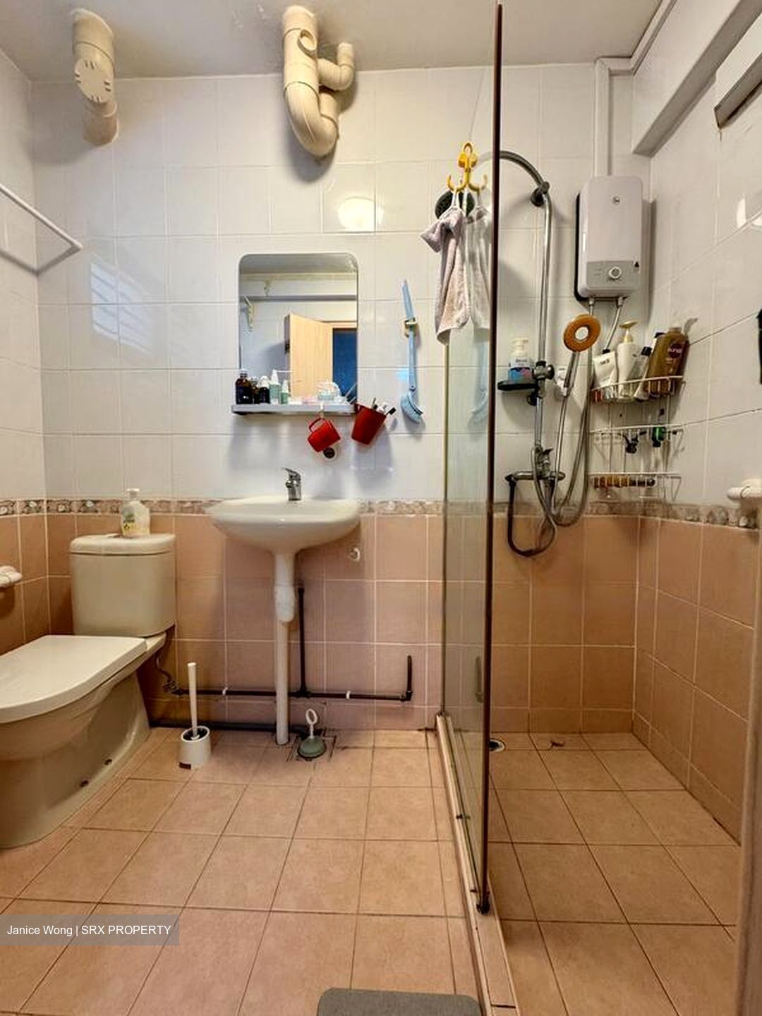 Blk 101 Bishan View (Bishan), HDB 5 Rooms #470222421